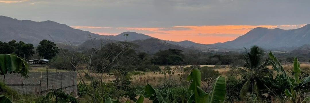 LGPA1806's profile banner image
