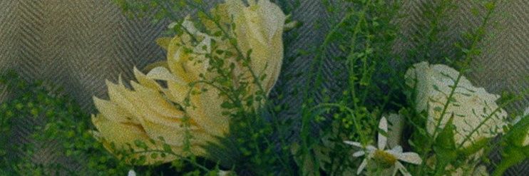 Erni banner