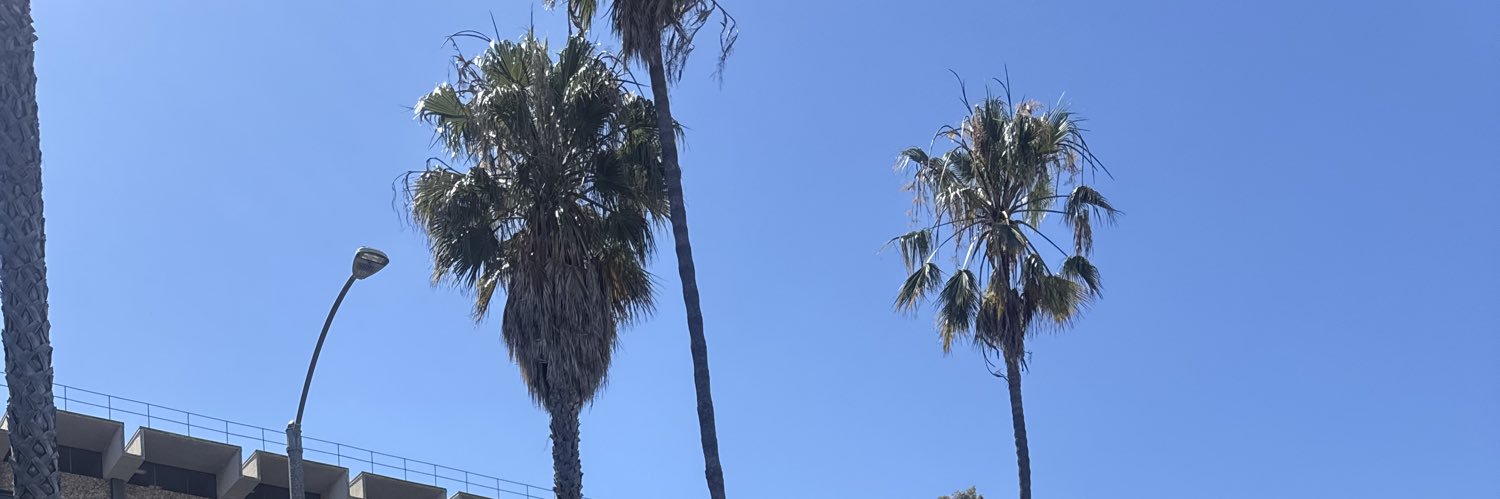 livewiremotion's profile banner image