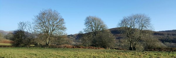 racmacwales Profile Banner