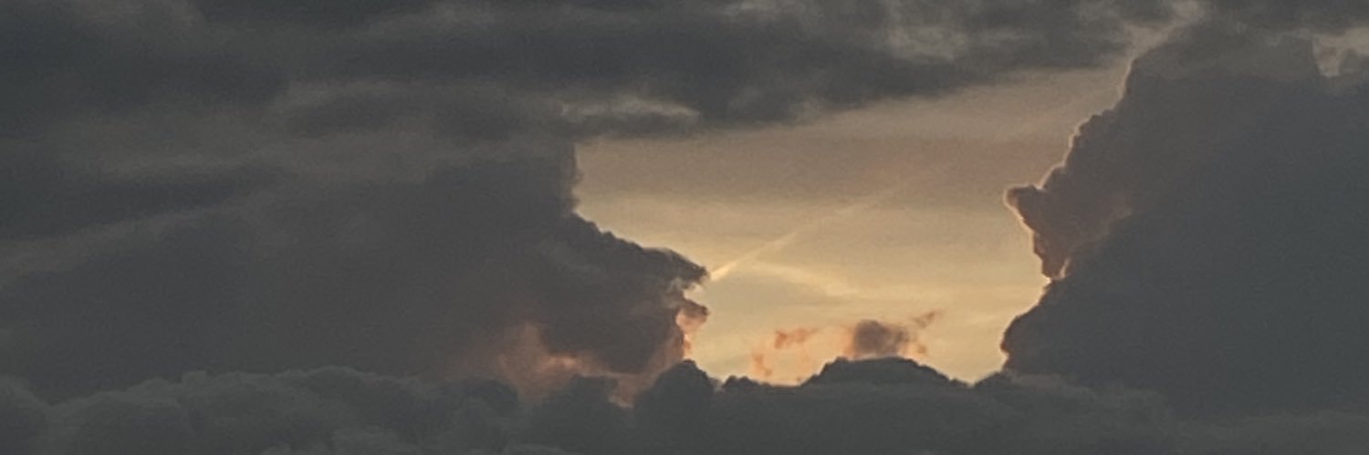 maialewis_'s profile banner image