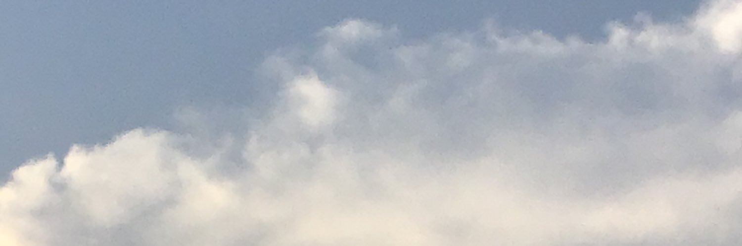 msltqpm's profile banner image