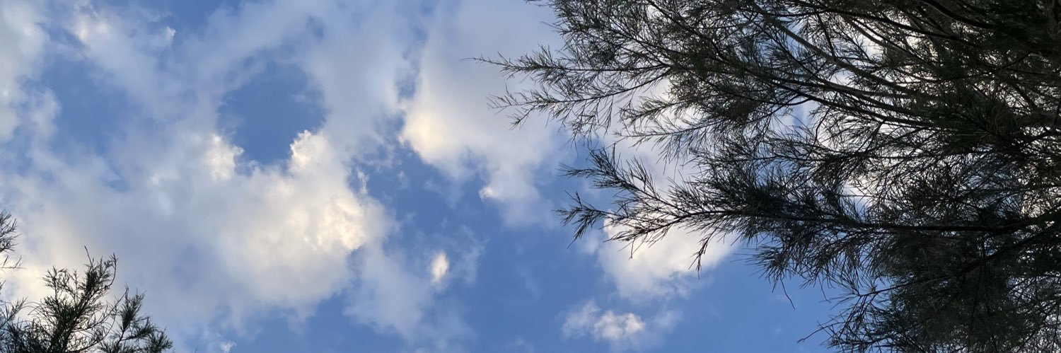Lunadaae's profile banner image
