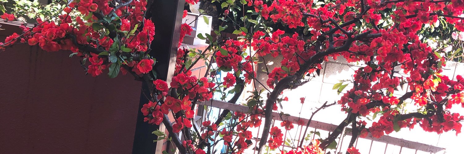 hirone313's profile banner image