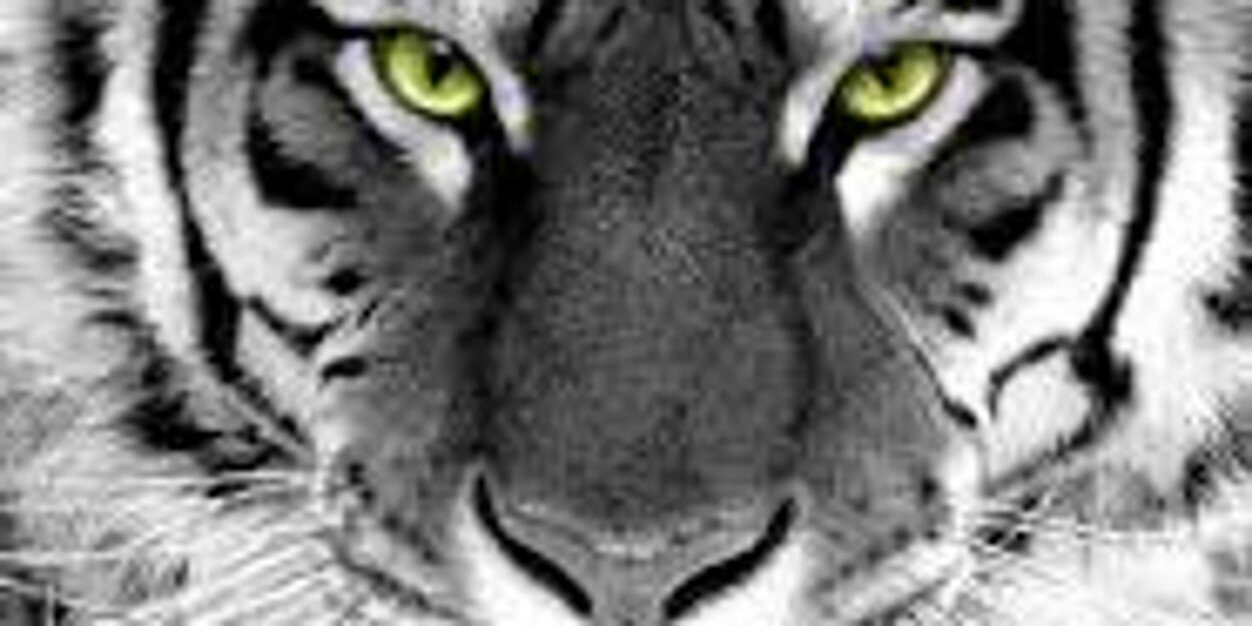 michael91093's profile banner image