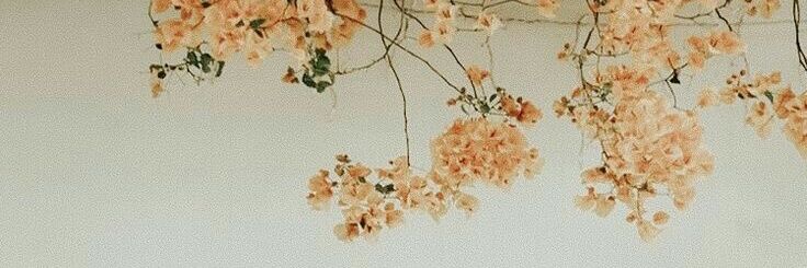 rimshaa021's profile banner image