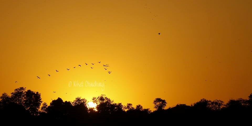 panchalkrunal89's profile banner image