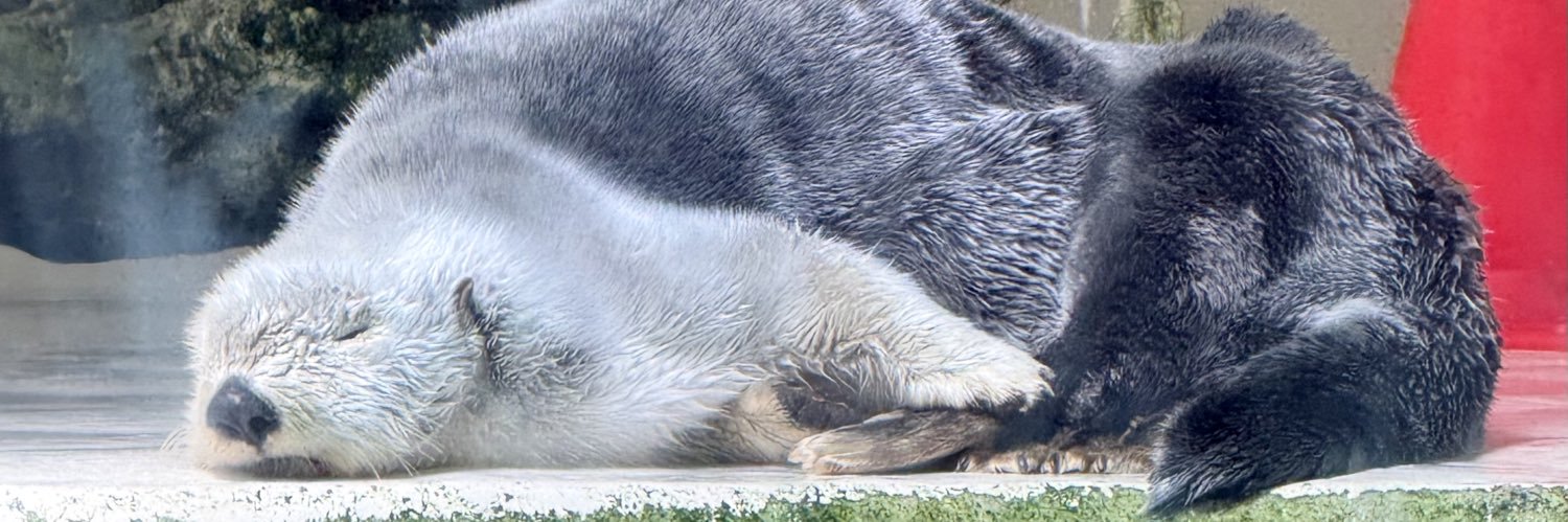 obbbb0w0's profile banner image