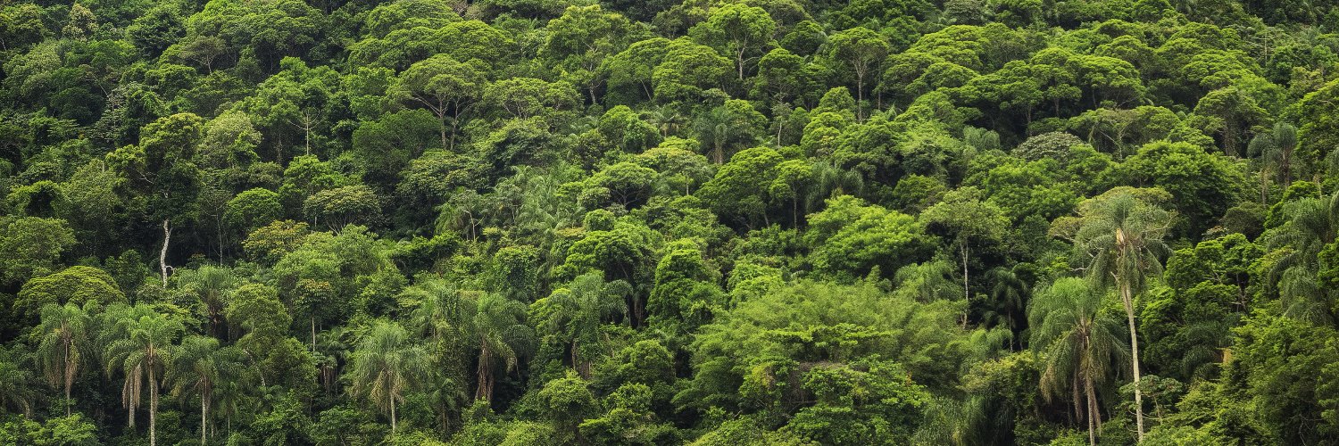 Rainforest Trust banner