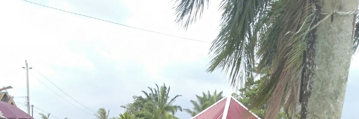Dea banner