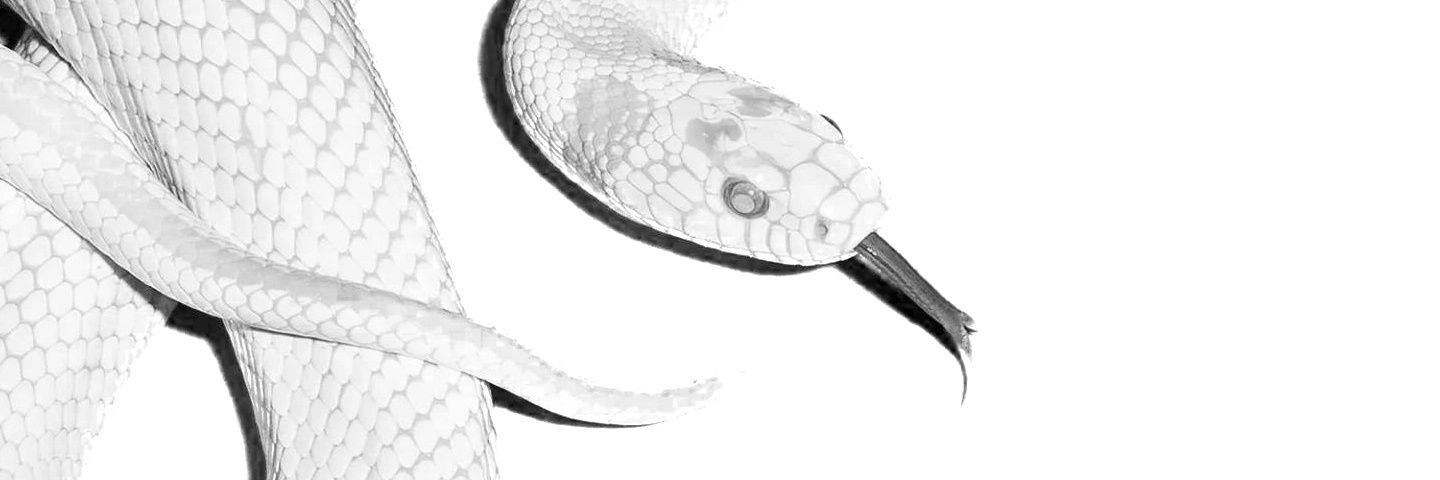 oldfetish's profile banner image