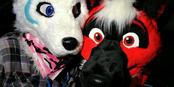 hyphyhusky's profile banner image