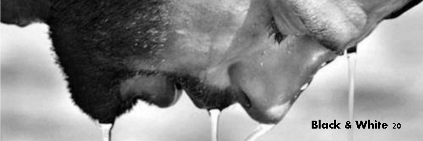 AngelFdezDelfa's profile banner image