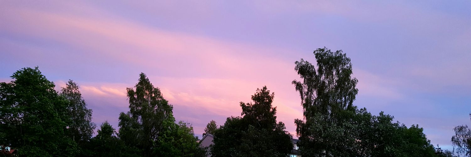 TheRealSaus's profile banner image