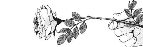 ronin's banner