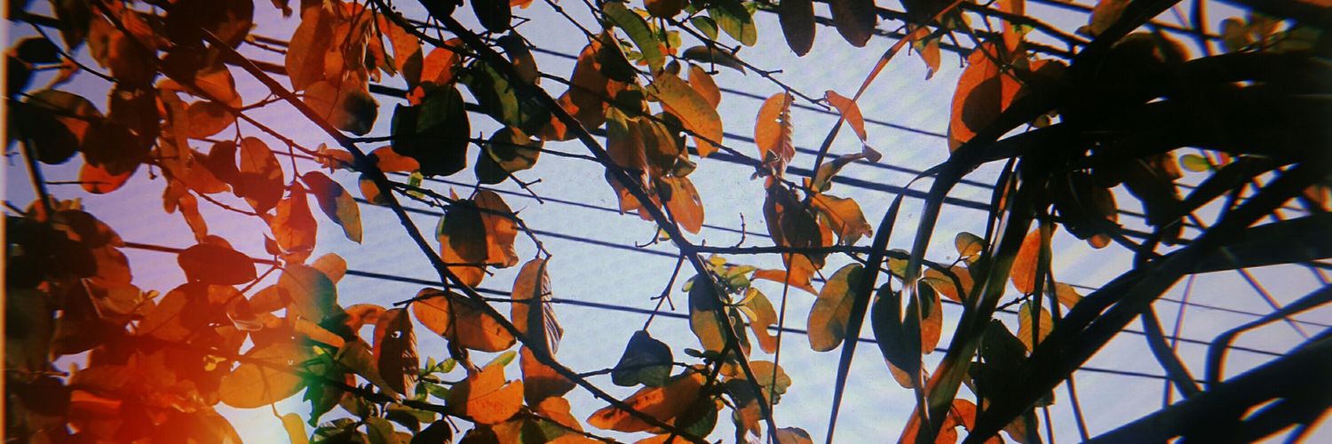 cursedstring's profile banner image