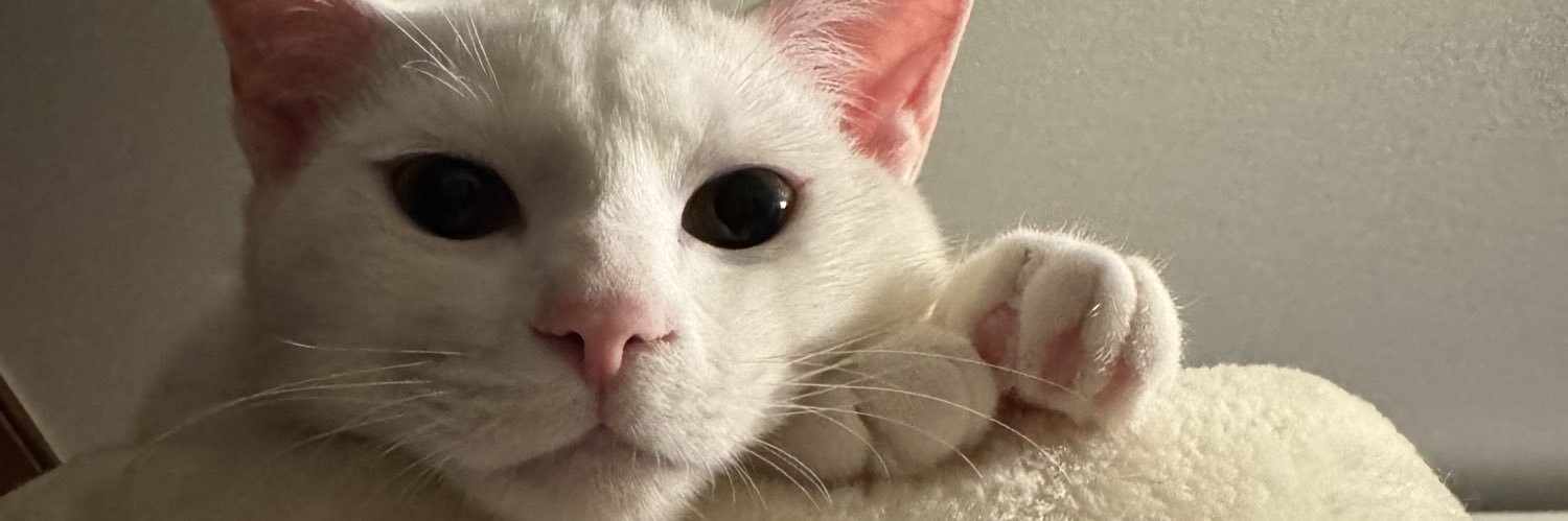 othellomaster32's profile banner image