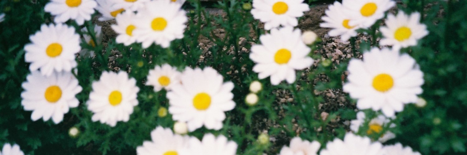 meechandeesu's profile banner image