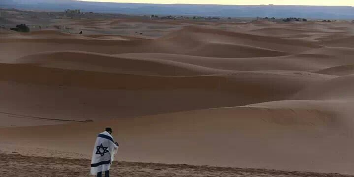 ישי דוד תורג'מן 🇮🇱 banner