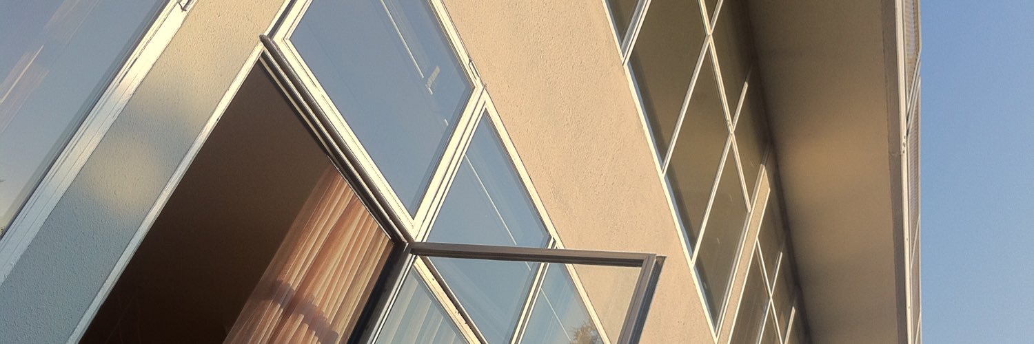 Dr. Birna van Riemsdijk banner