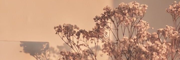 thehurt__'s profile banner image
