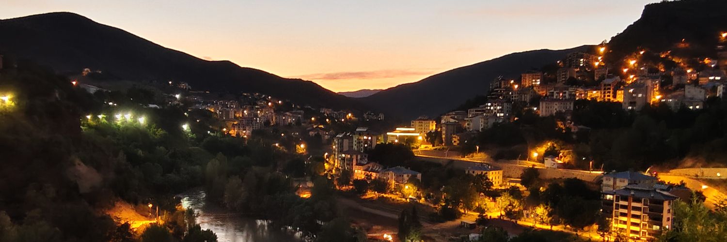 aysehamzaoglu's profile banner image