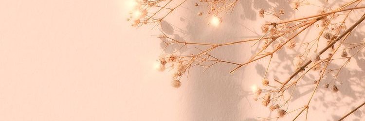 lncitanesi's profile banner image