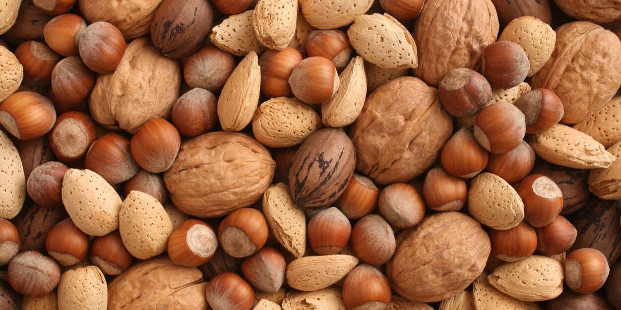 Squirrel_Anal's profile banner image