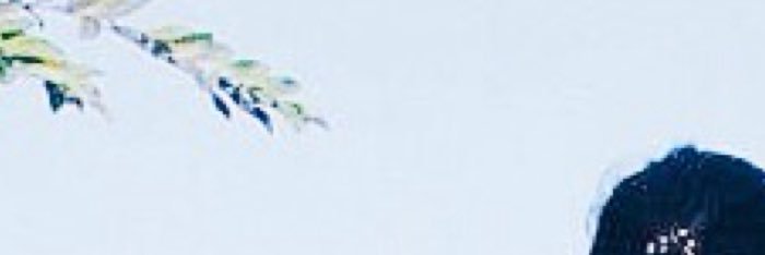 NatureLacker's profile banner image