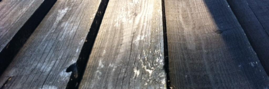 ShedPorn's profile banner image