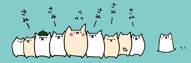 綾にゃん🎼 banner