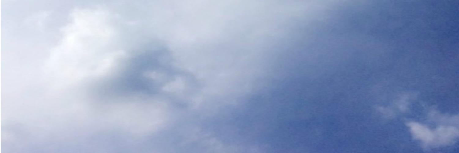 lexallgdrs's profile banner image