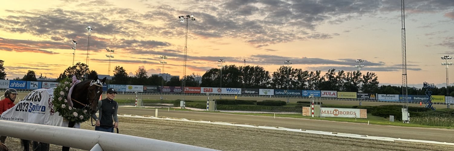 JohanLindqvist_'s profile banner image