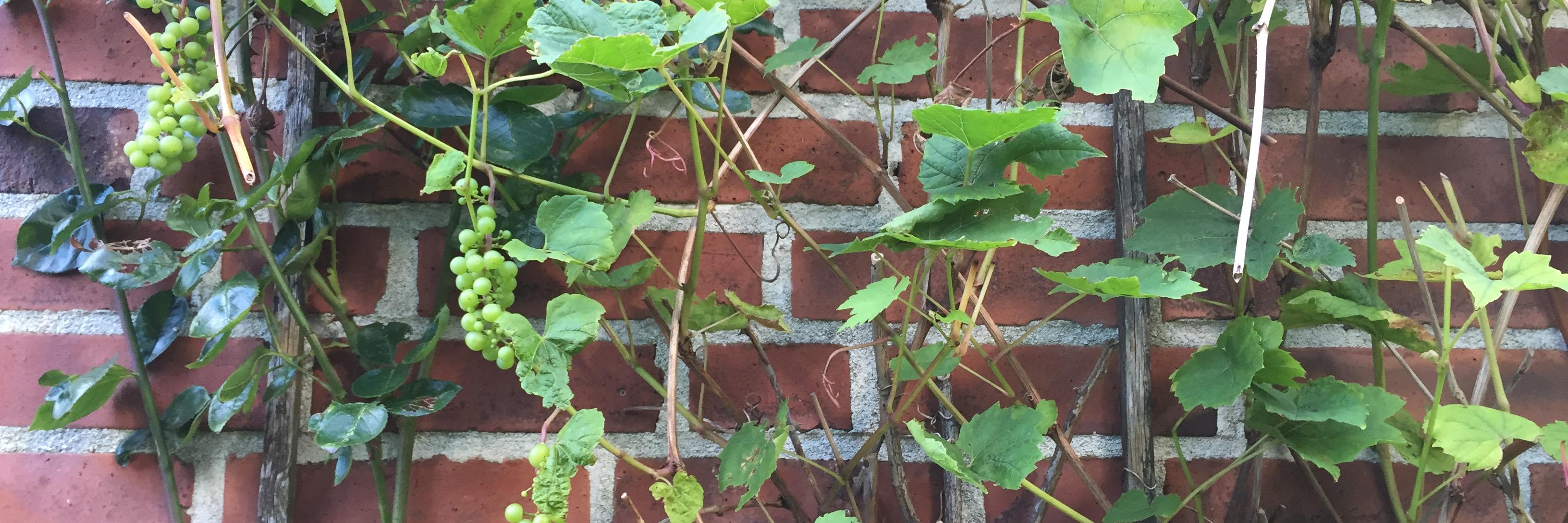 Per Rönnberg banner