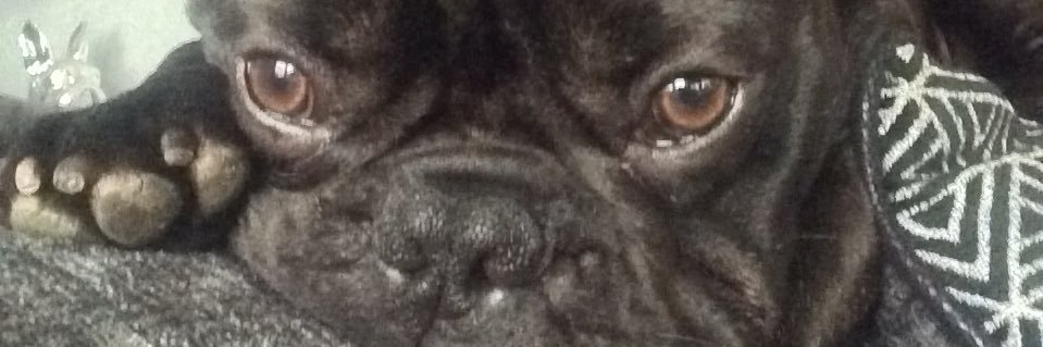 lindy_loo69's profile banner image