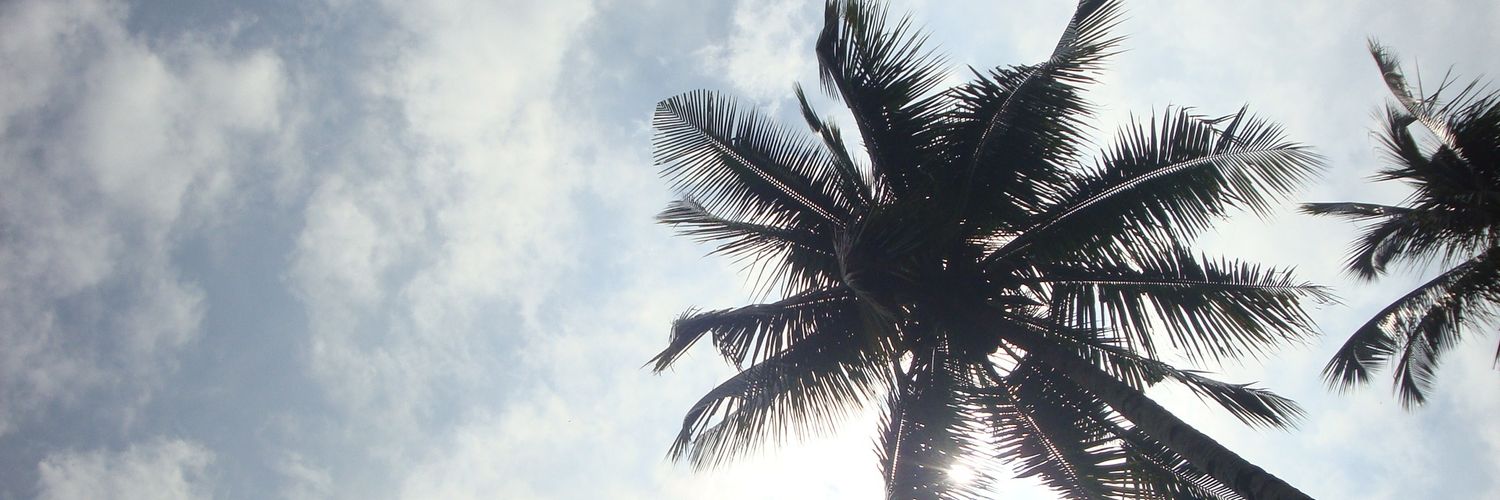 egpdmyn's profile banner image
