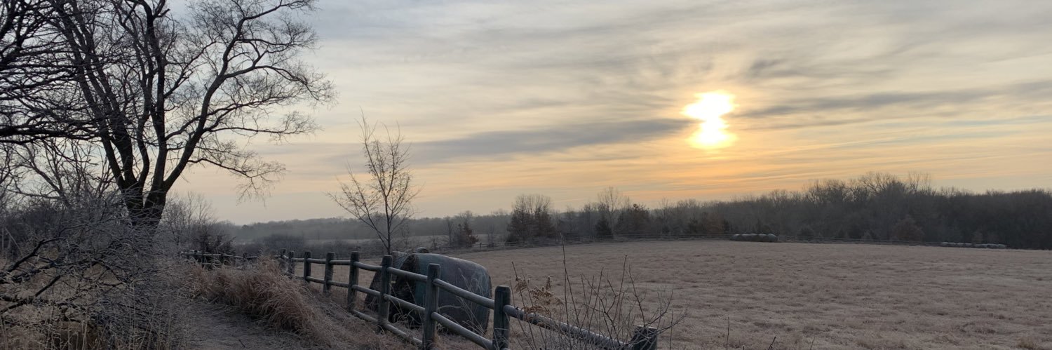 Otis_36's profile banner image