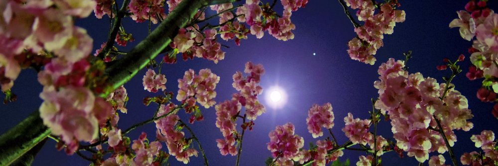 forefore555's profile banner image
