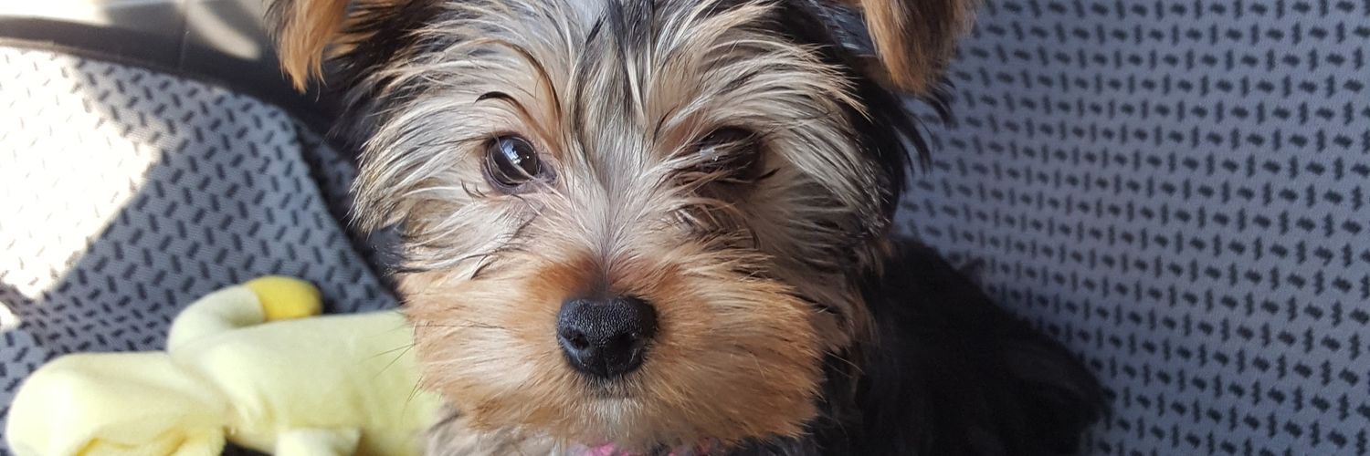 _Brenda92_'s profile banner image