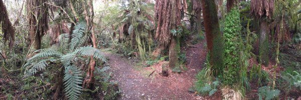 fbascheper Profile Banner