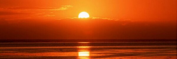 alizerieu Profile Banner