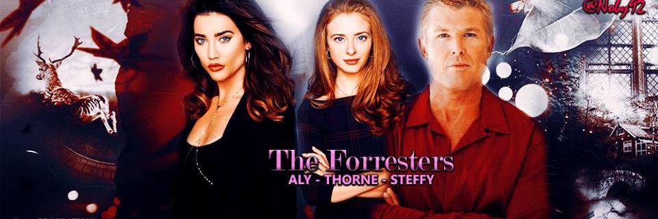 YRFan banner