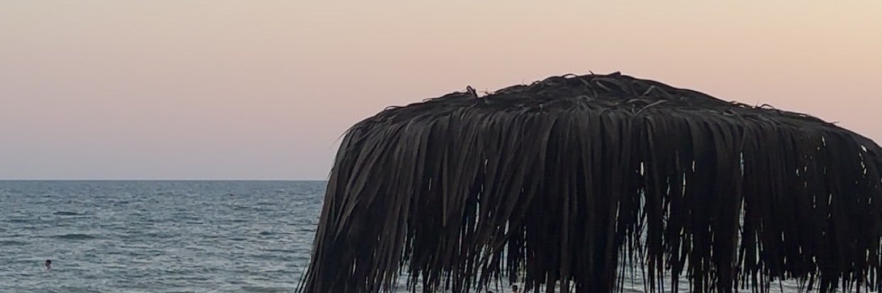 sselintok's profile banner image