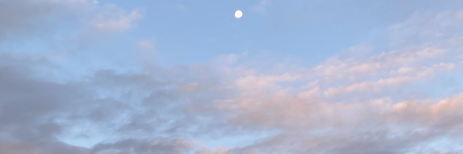 mariiablancop's profile banner image