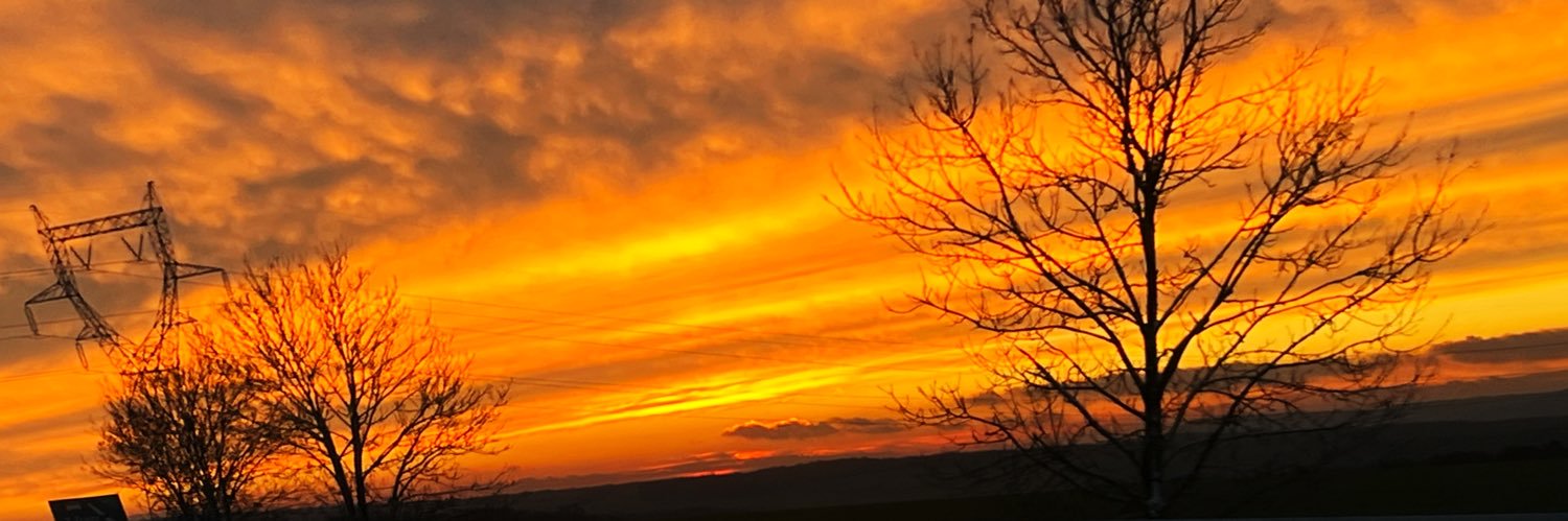 Love_Potetoes's profile banner image