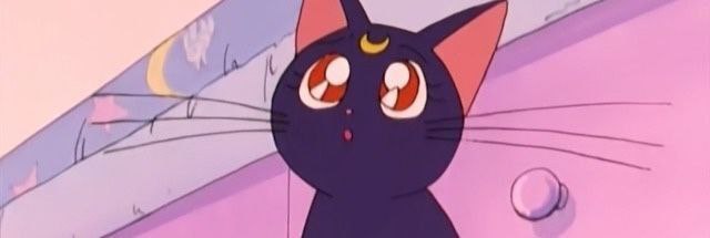 0matt_PRO000's profile banner image