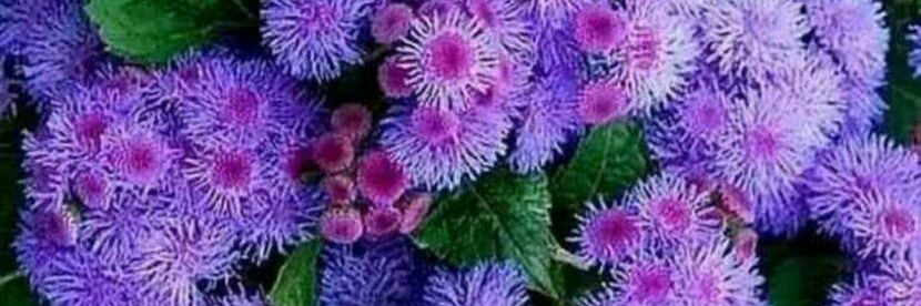 860519562's profile banner image