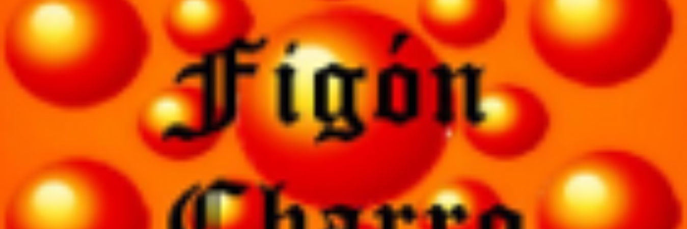 FignCharroFsala's profile banner image