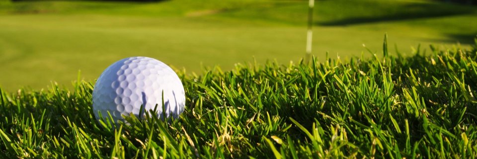 FredSchwebke's profile banner image