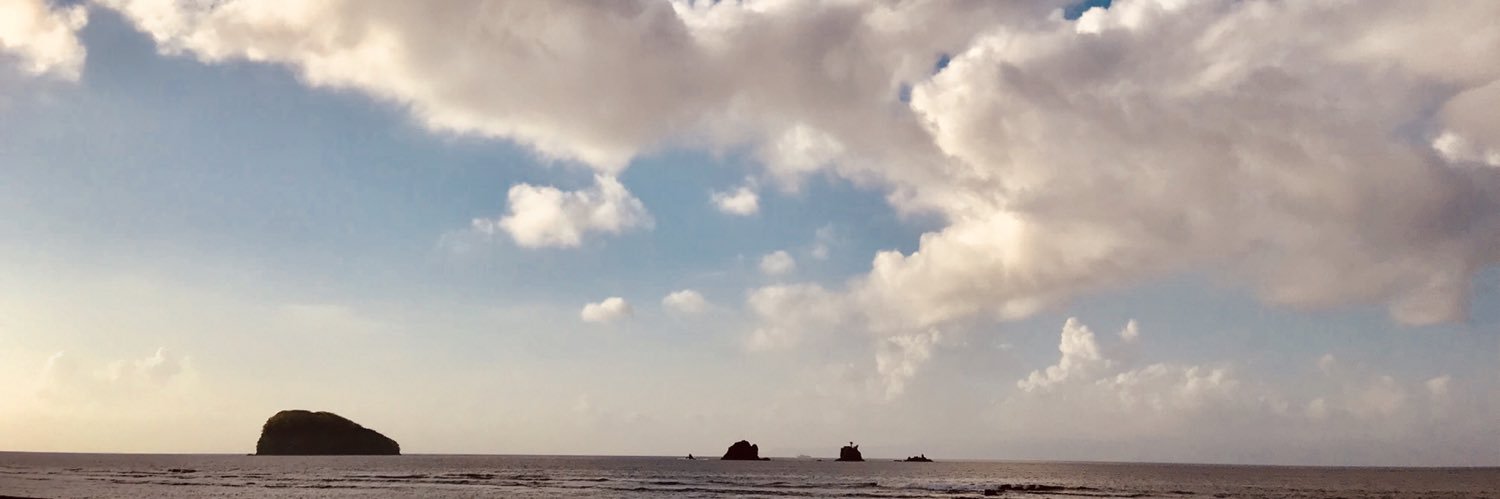 erickking's profile banner image